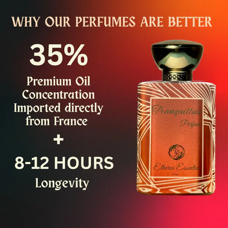 Tranquillus | Inspired By Dipt-que Tam Dao