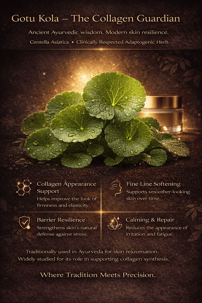 Verité Glow Gotu Kola Anti-Aging Gel Cream | Formulated with 27+ Science Backed Clinical Actives & Powered by Botanical Wisdom